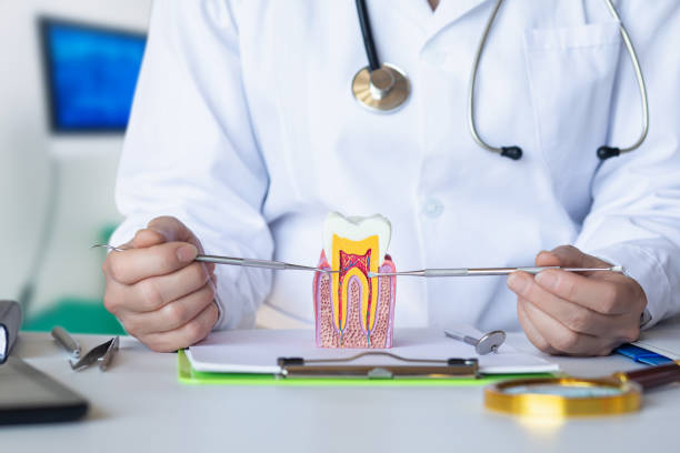 Best Weekend Emergency Dentist in Galva, IL